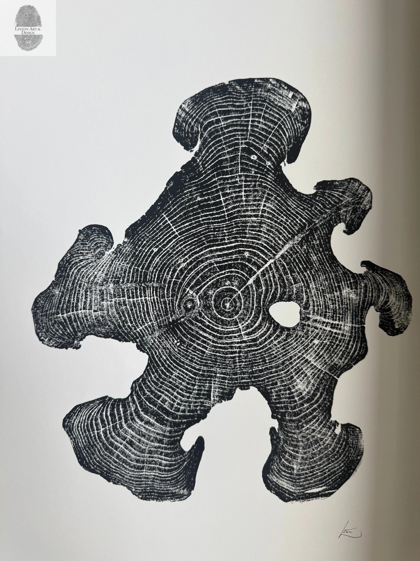 Acacia Tree Ring Wall Art – Ukraine Woodcut Print – 18x24 Original, Signed lintonart
