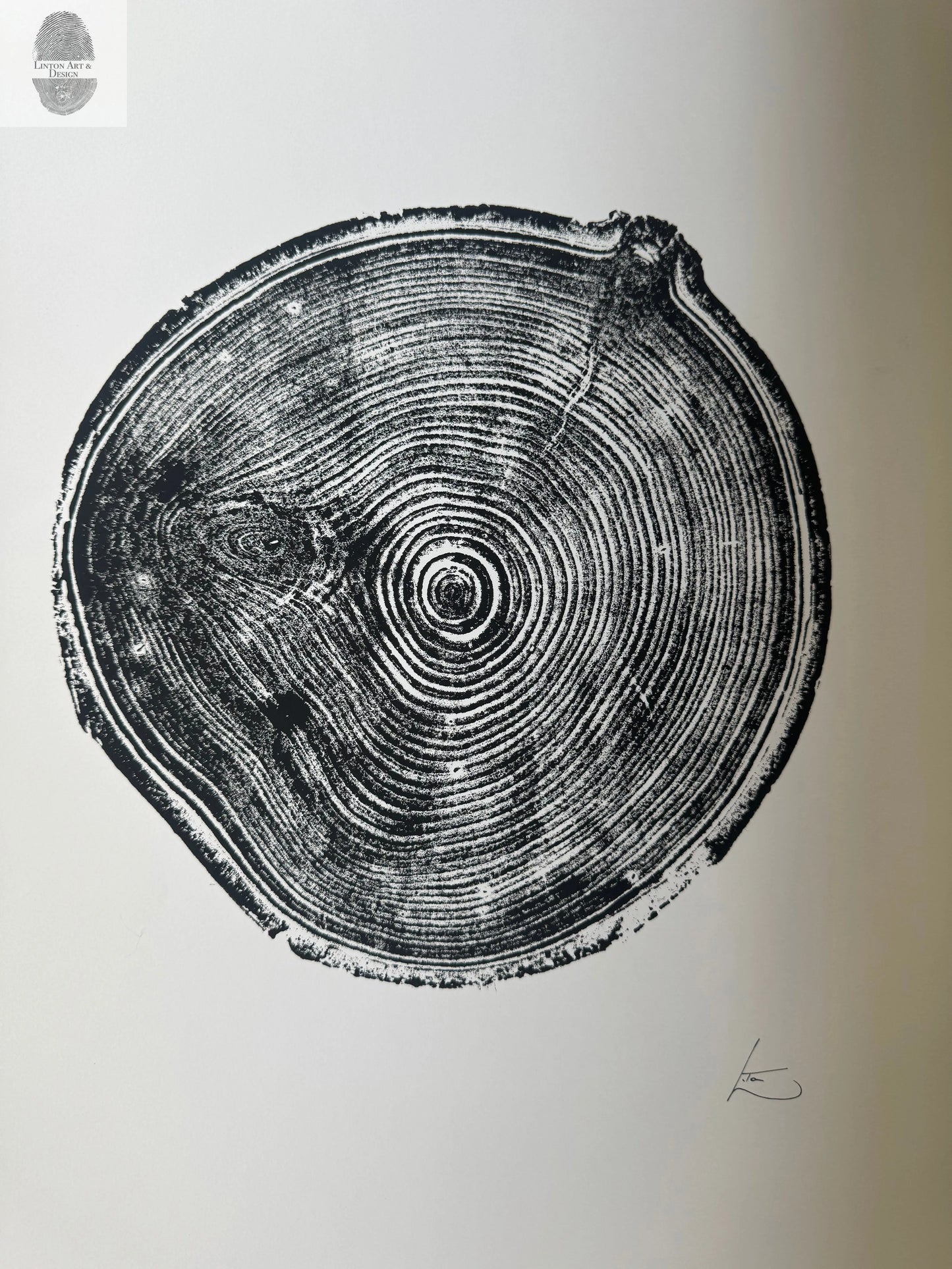 Aspen Tree Ring Print – Carson, New Mexico – 18x24 Original Signed Woodcut lintonart
