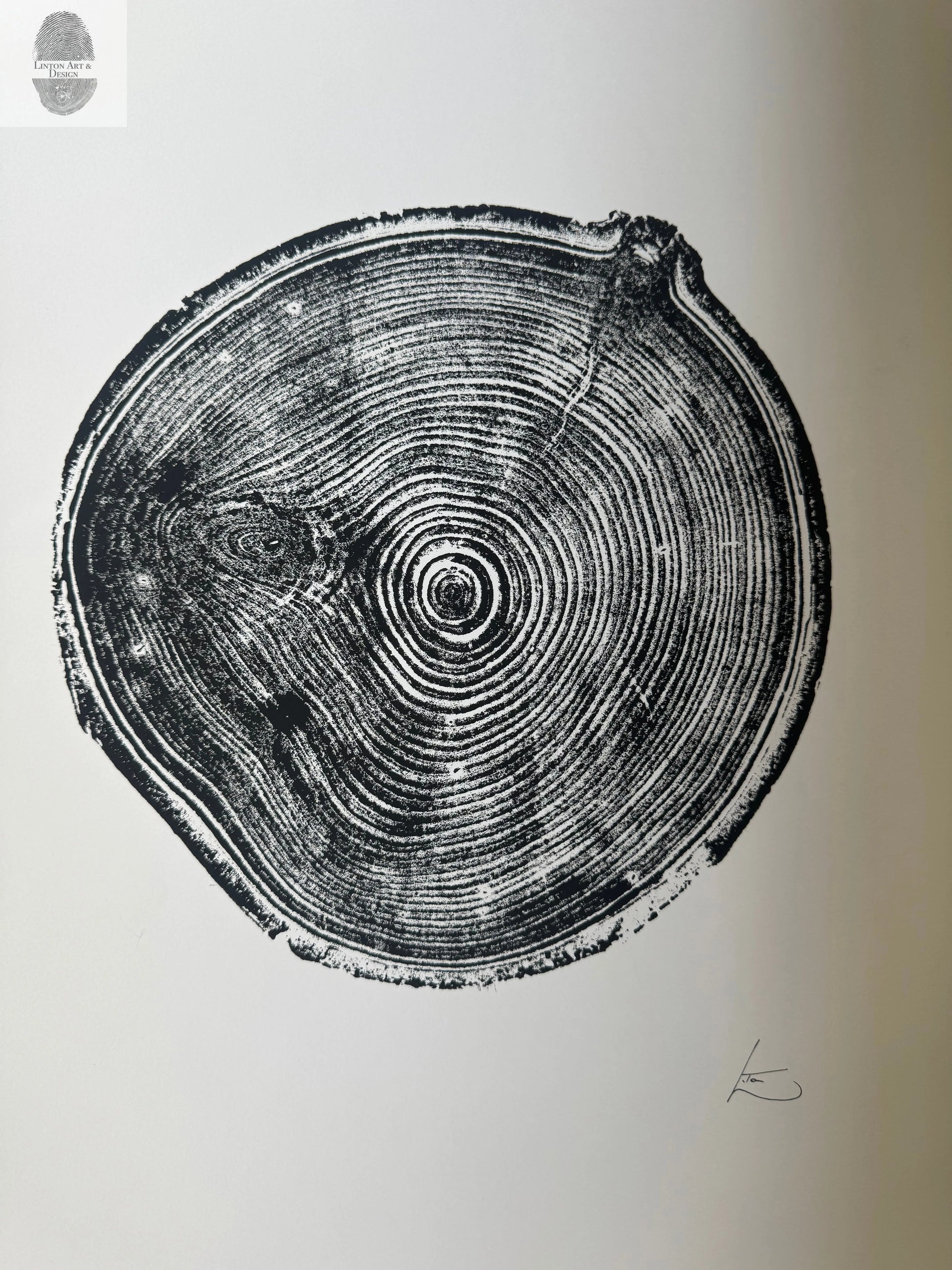 Aspen Tree Ring Print – Carson, New Mexico – 18x24 Original Signed Woodcut lintonart