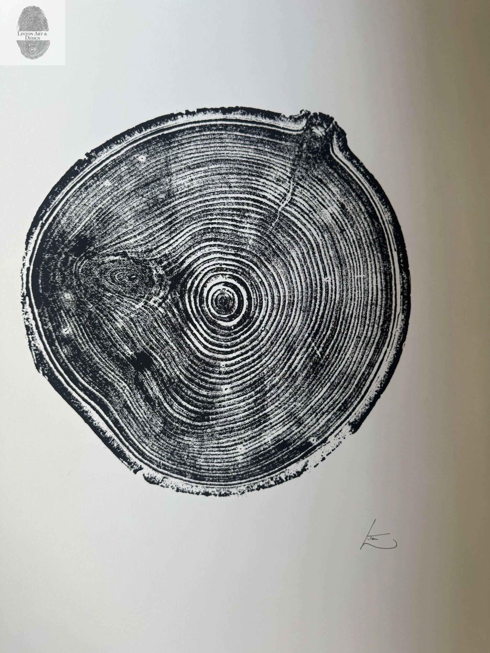 Aspen Tree Ring Print – Carson, New Mexico – 18x24 Original Signed Woodcut lintonart
