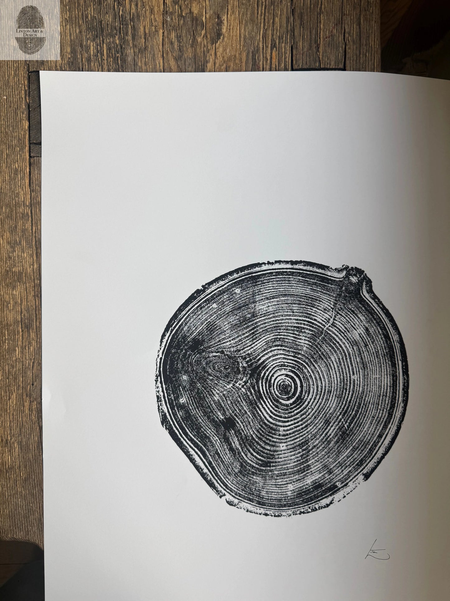 Aspen Tree Ring Print – Carson, New Mexico – 18x24 Original Signed Woodcut lintonart