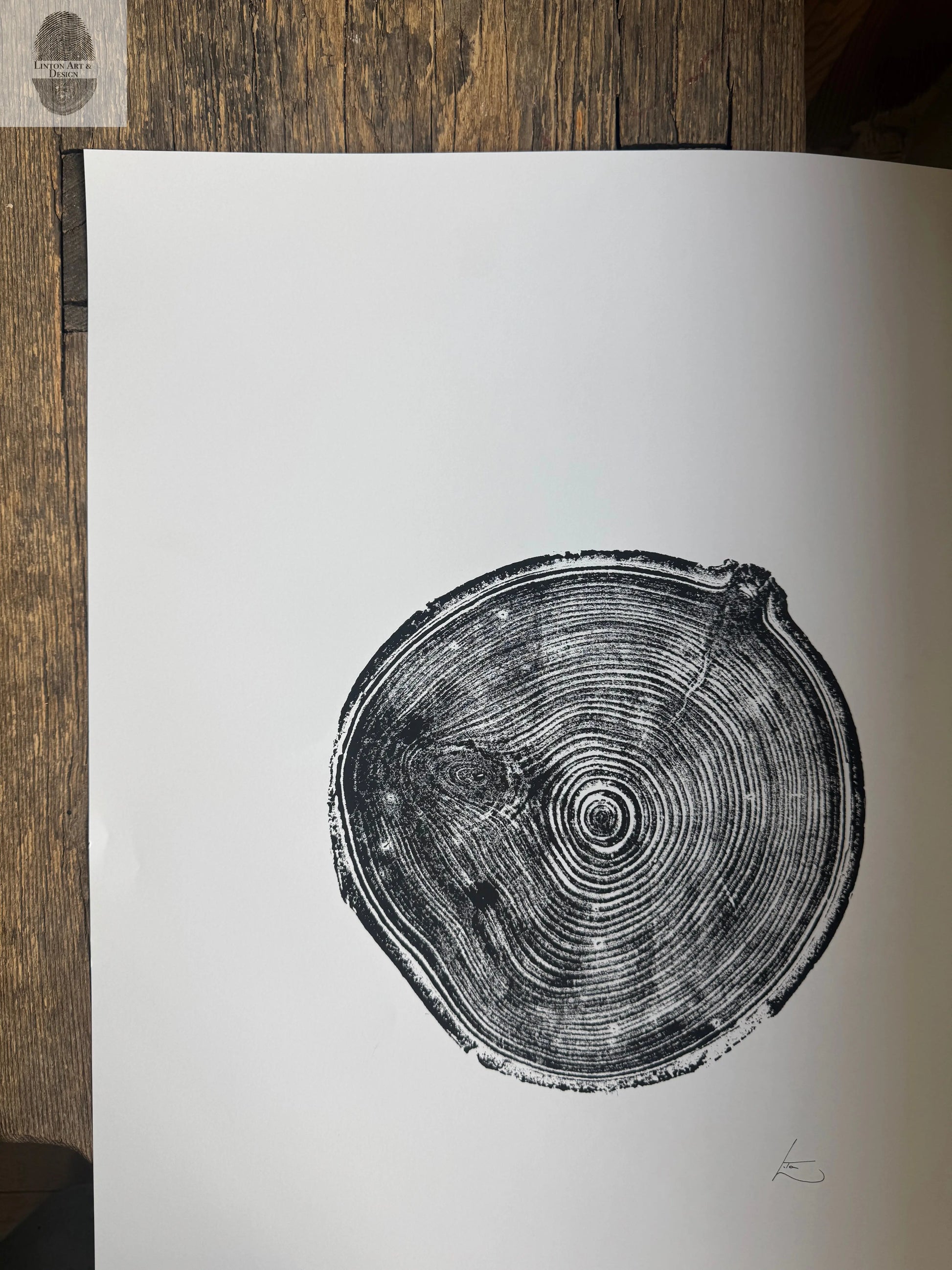 Aspen Tree Ring Print – Carson, New Mexico – 18x24 Original Signed Woodcut lintonart