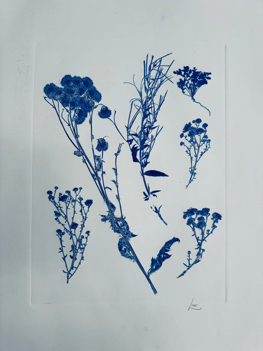 Botanical Survey: Variants of a Shared Habitat lintonart