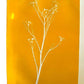 Bright Yellow Wild Fennel Monotype Print, Original 19x15 inches lintonart