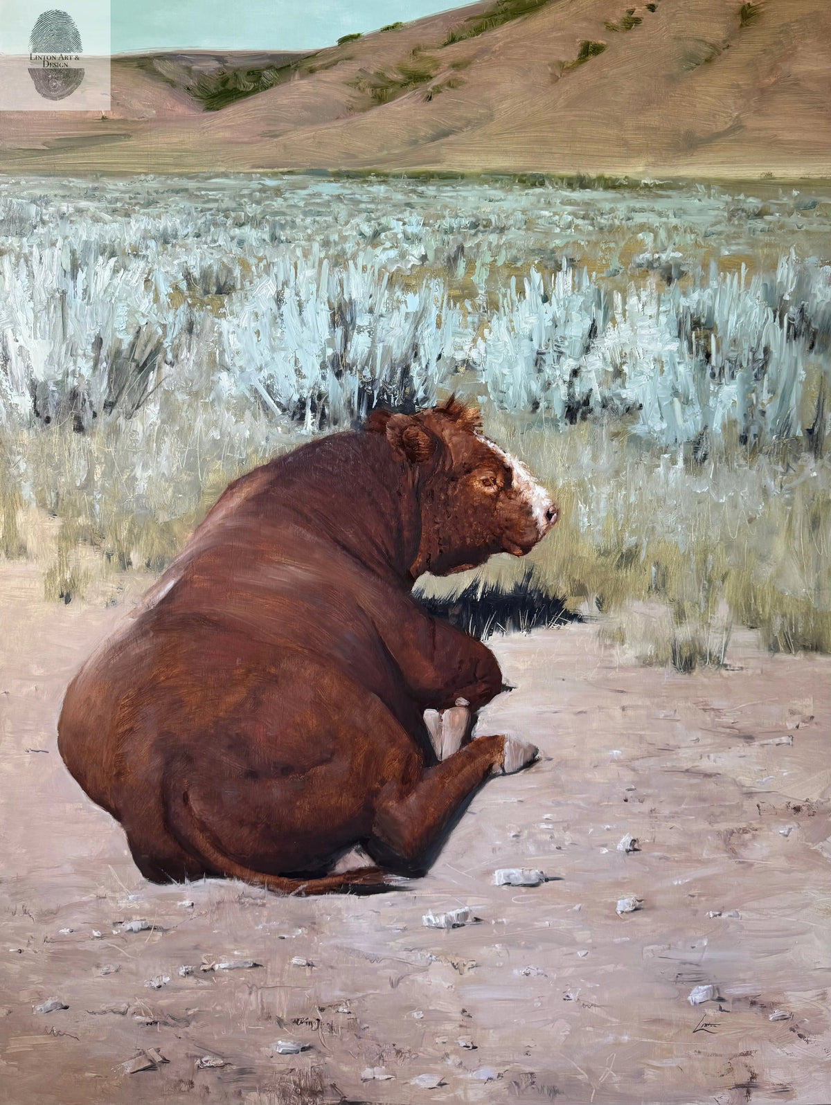 Bull resting in Hansel Valley lintonart