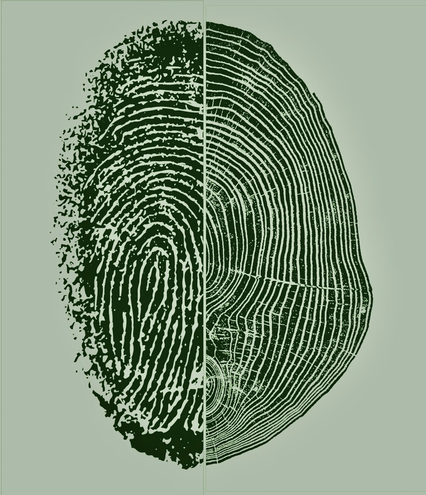 Personalized fingerprint tree ring art, fingerprint art, tree ring print, human nature, nature lover gift, memorial gifts, honor gifts