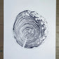 California Redwood, San Francisco, 30 years, 18x24 inch print, hand pressed print, tree ring art, wood slice, wedding tree, Woodcut print, by Erik Linton lintonart