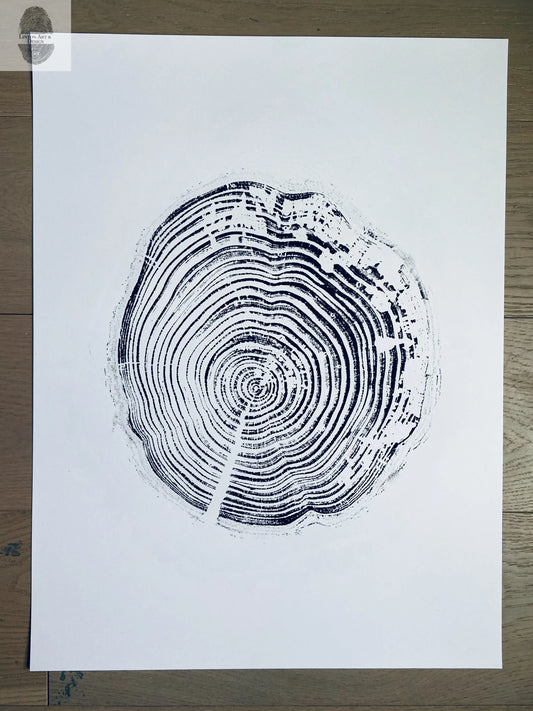 California Redwood, San Francisco, 30 years, 18x24 inch print, hand pressed print, tree ring art, wood slice, wedding tree, Woodcut print, by Erik Linton lintonart