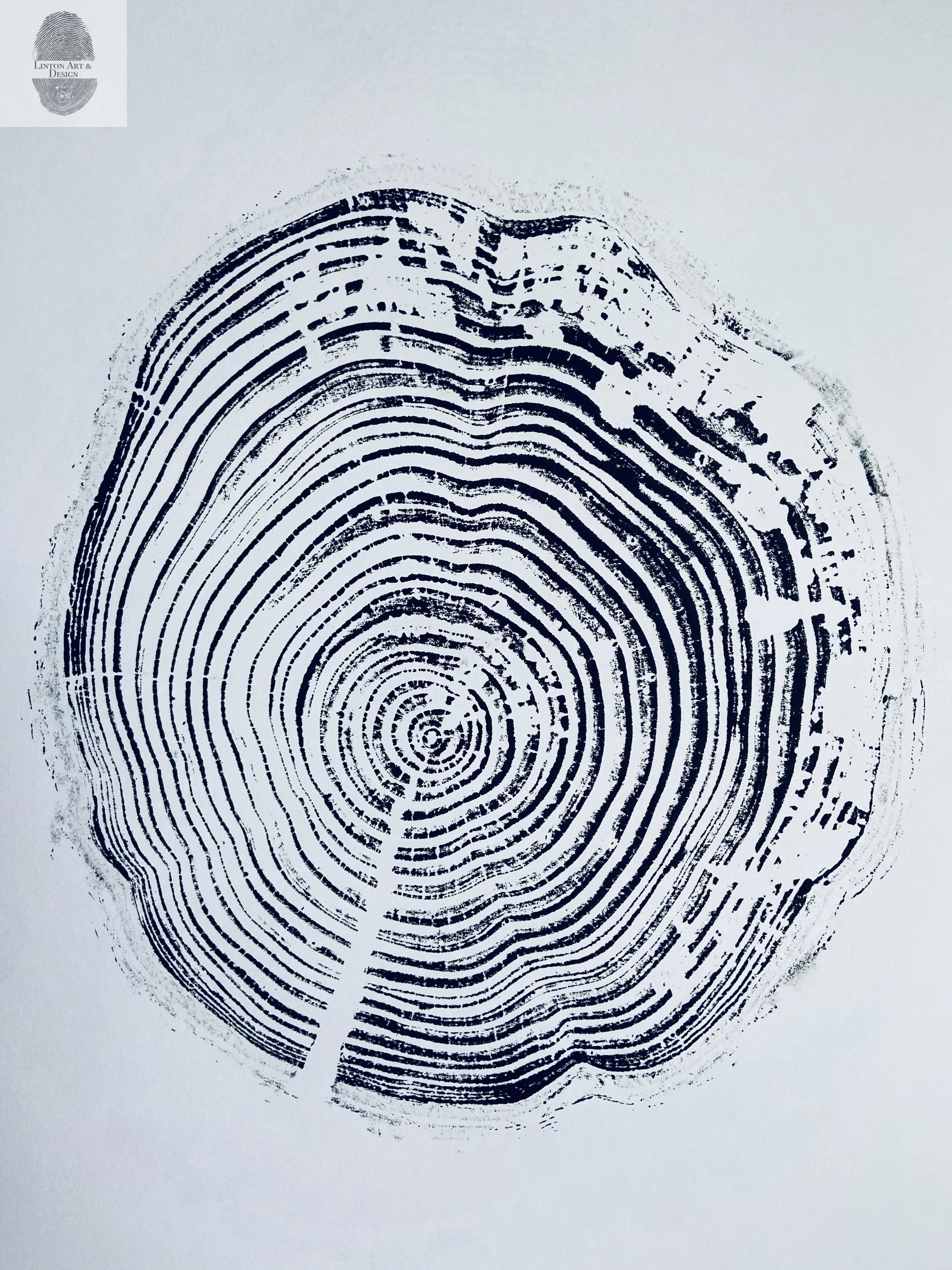 California Redwood, San Francisco, 30 years, 18x24 inch print, hand pressed print, tree ring art, wood slice, wedding tree, Woodcut print, by Erik Linton lintonart