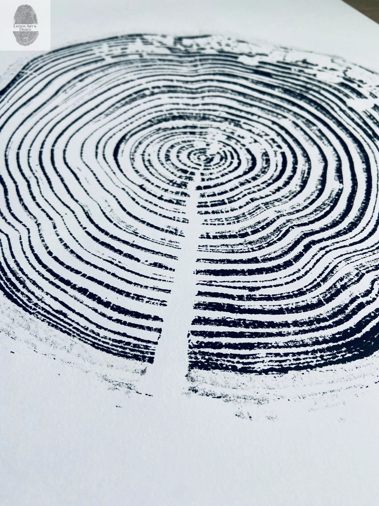 California Redwood, San Francisco, 30 years, 18x24 inch print, hand pressed print, tree ring art, wood slice, wedding tree, Woodcut print, by Erik Linton lintonart