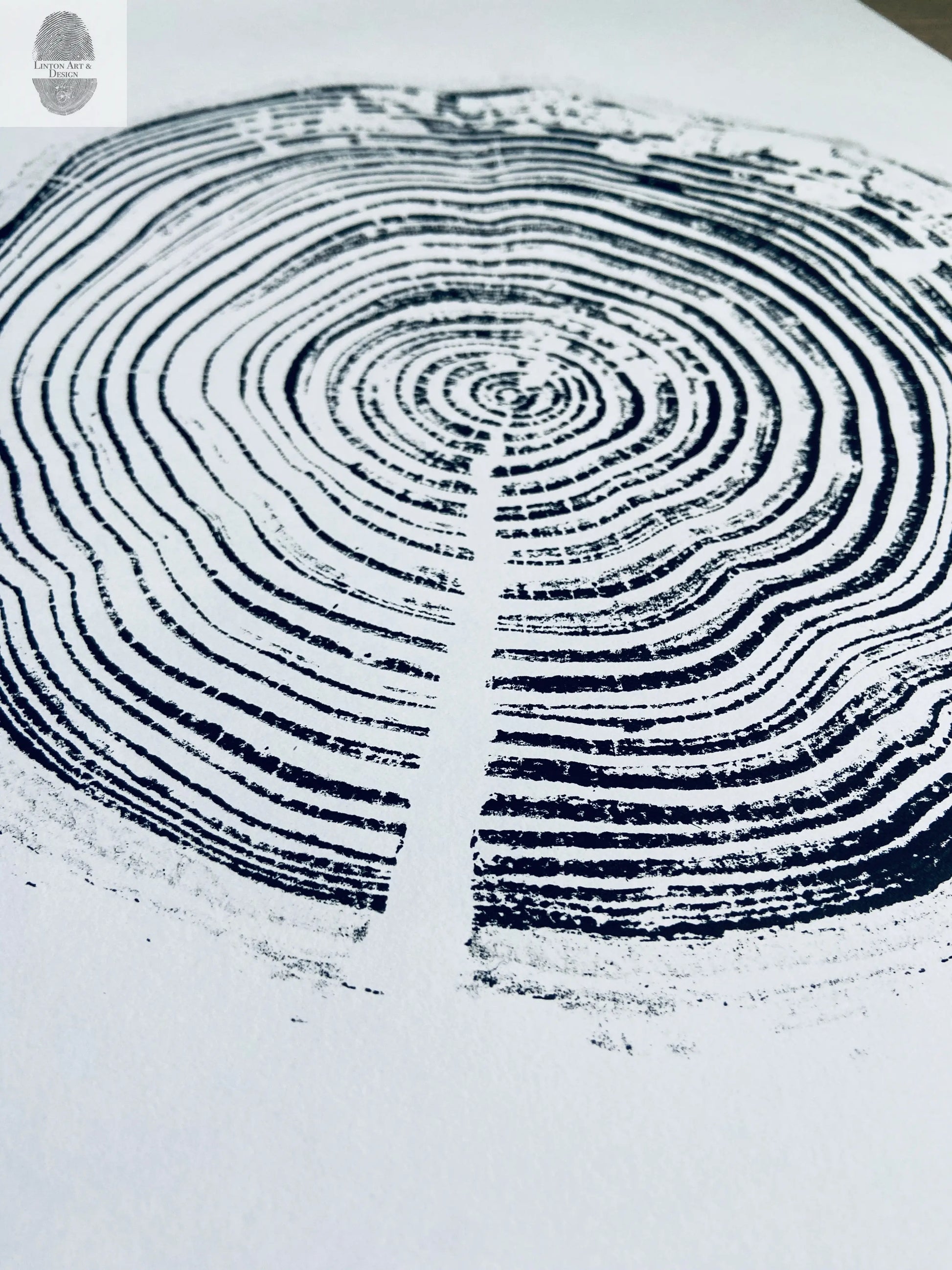 California Redwood, San Francisco, 30 years, 18x24 inch print, hand pressed print, tree ring art, wood slice, wedding tree, Woodcut print, by Erik Linton lintonart