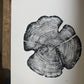 Cedar Tree Ring Print – Reno County, Kansas – 18x24 Original Signed Woodcut lintonart