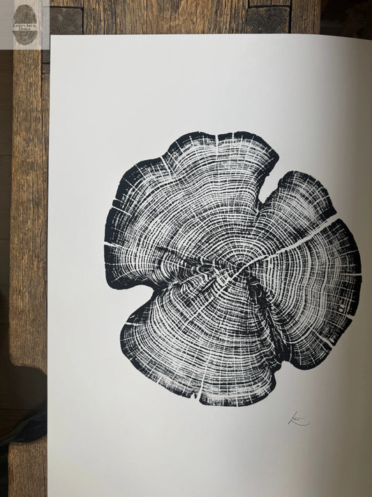 Cedar Tree Ring Print – Reno County, Kansas – 18x24 Original Signed Woodcut lintonart