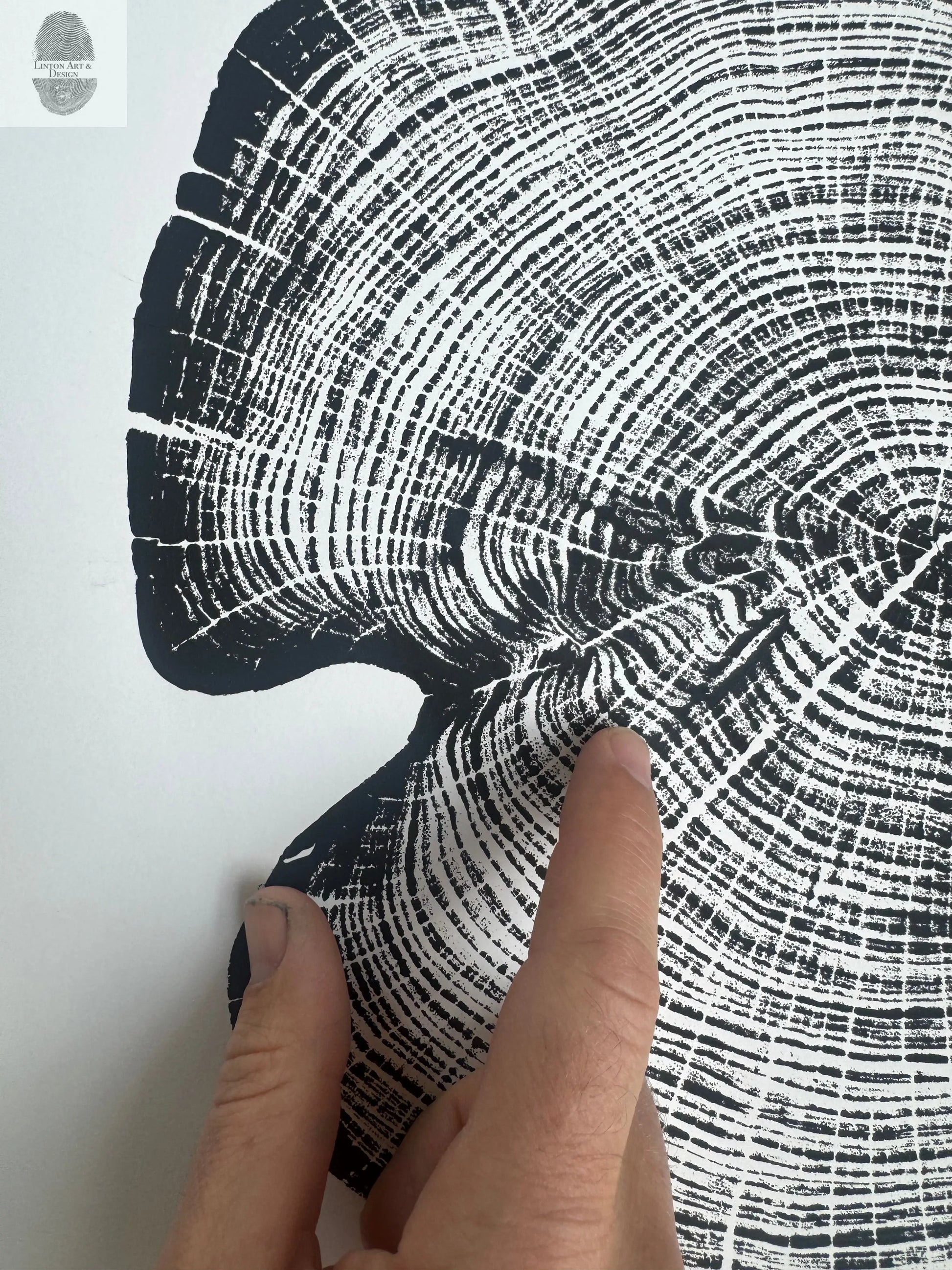 Cedar Tree Ring Print – Reno County, Kansas – 18x24 Original Signed Woodcut lintonart