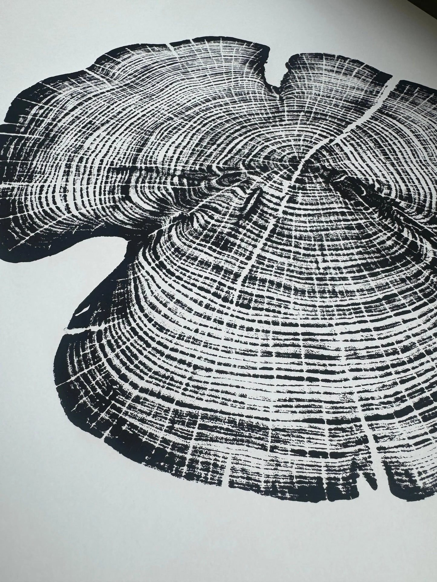 Cedar Tree Ring Print – Reno County, Kansas – 18x24 Original Signed Woodcut lintonart