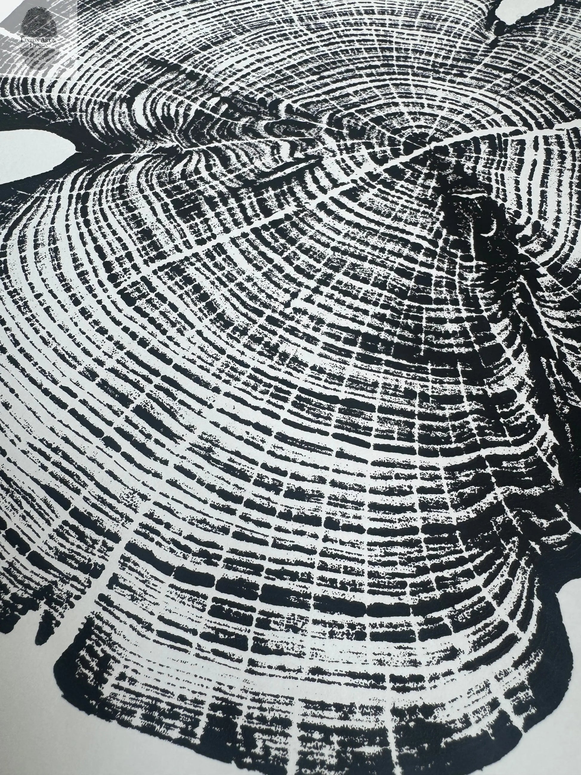 Cedar Tree Ring Print – Reno County, Kansas – 18x24 Original Signed Woodcut lintonart