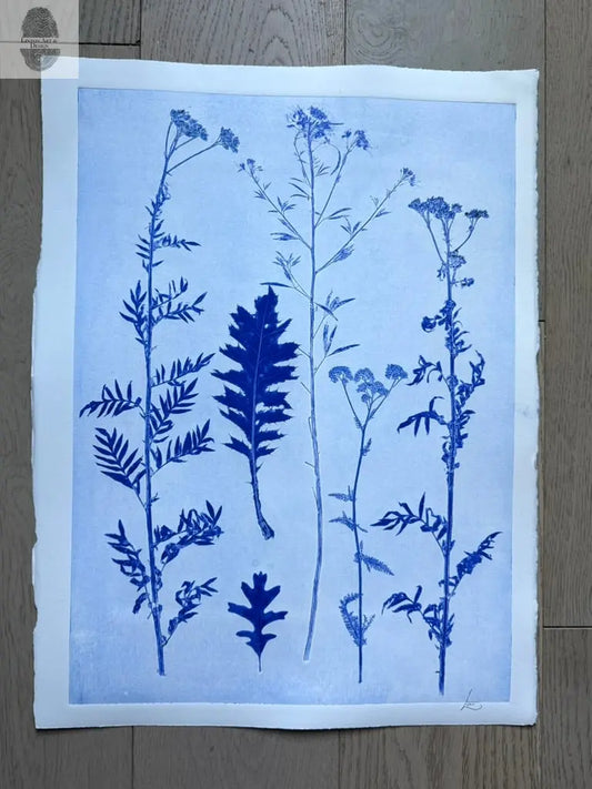 Collected Samples Exhibiting Morphological Divergence, Original Monoprint 18x24 inches lintonart