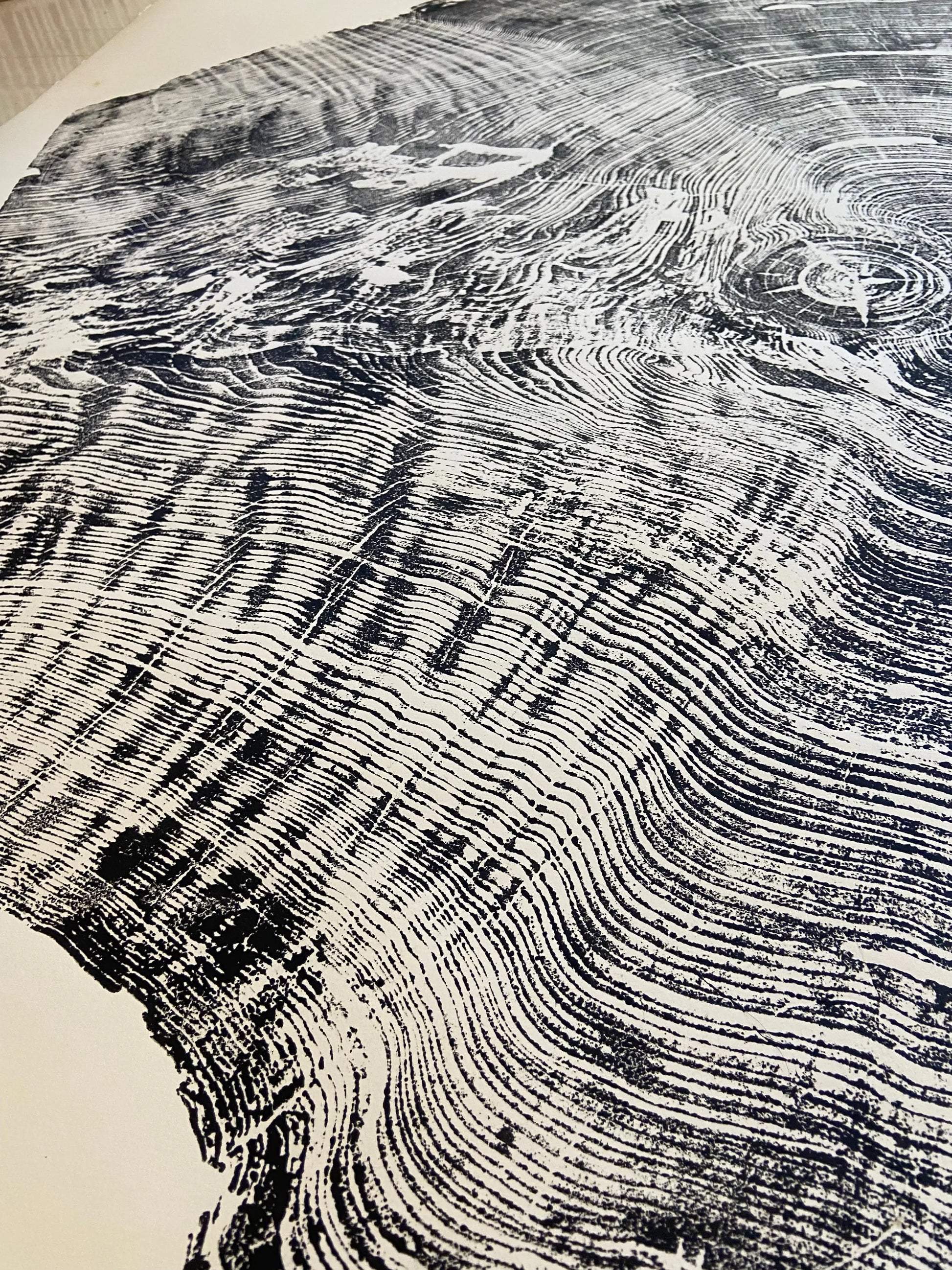 Custom Giant Redwood on 52x72 inch Paper with custom color #350c05 lintonart