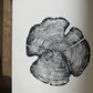 Cedar Tree Ring Print – Reno County, Kansas – 18x24 Original Signed Woodcut lintonart
