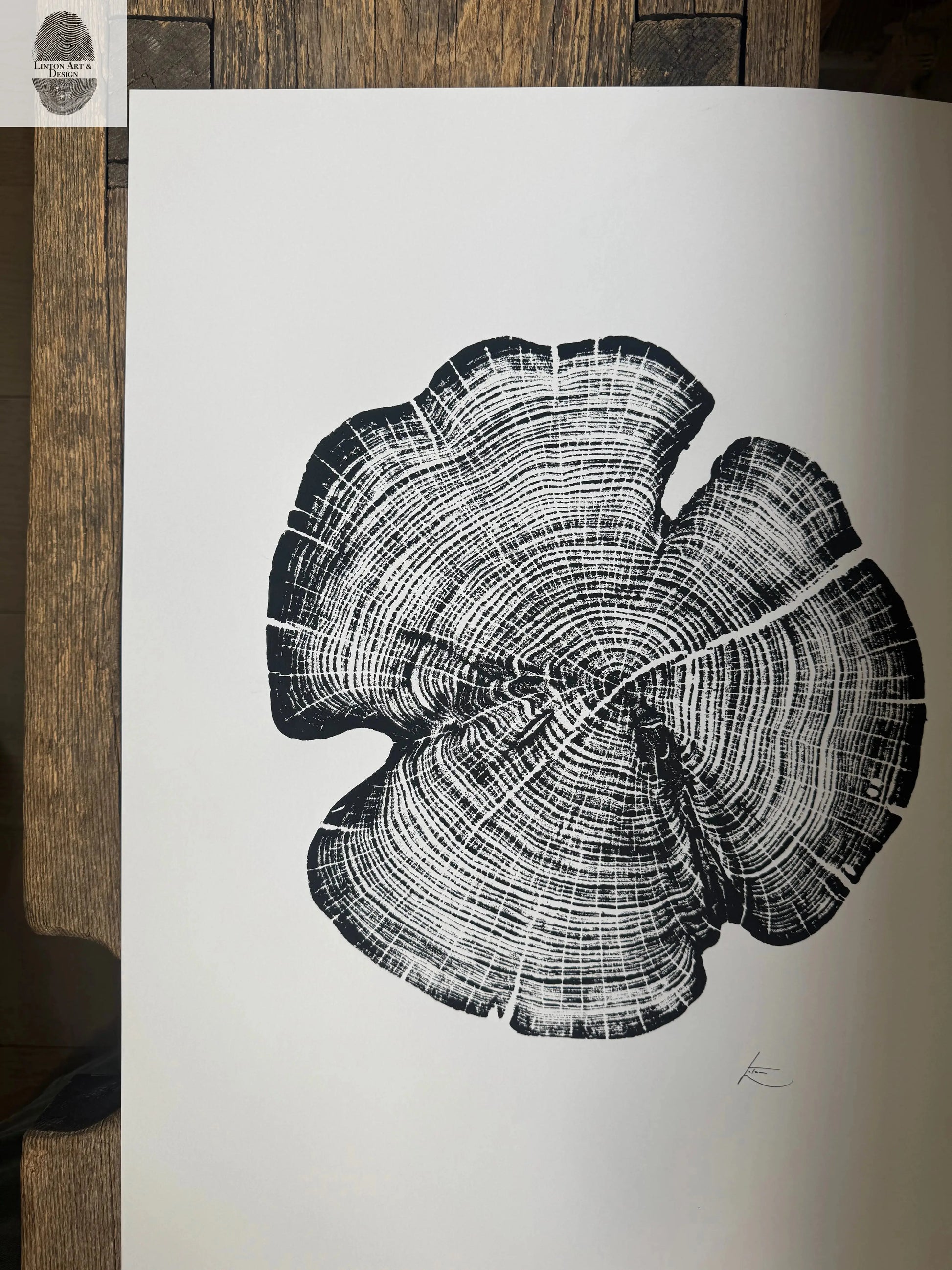 Cedar Tree Ring Print – Reno County, Kansas – 18x24 Original Signed Woodcut lintonart