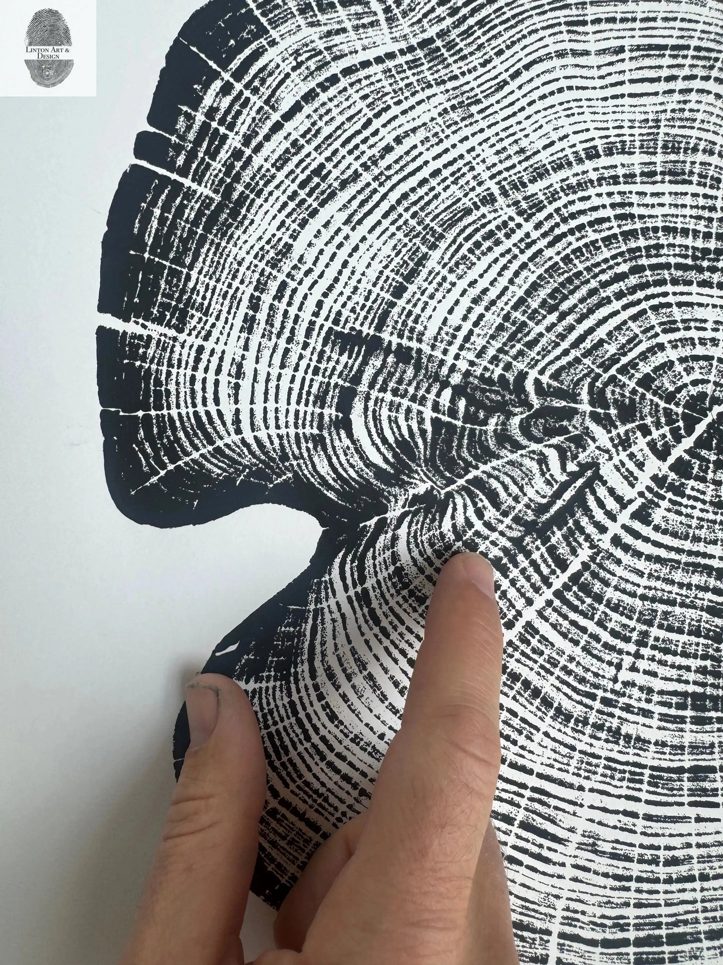 Cedar Tree Ring Print – Reno County, Kansas – 18x24 Original Signed Woodcut lintonart