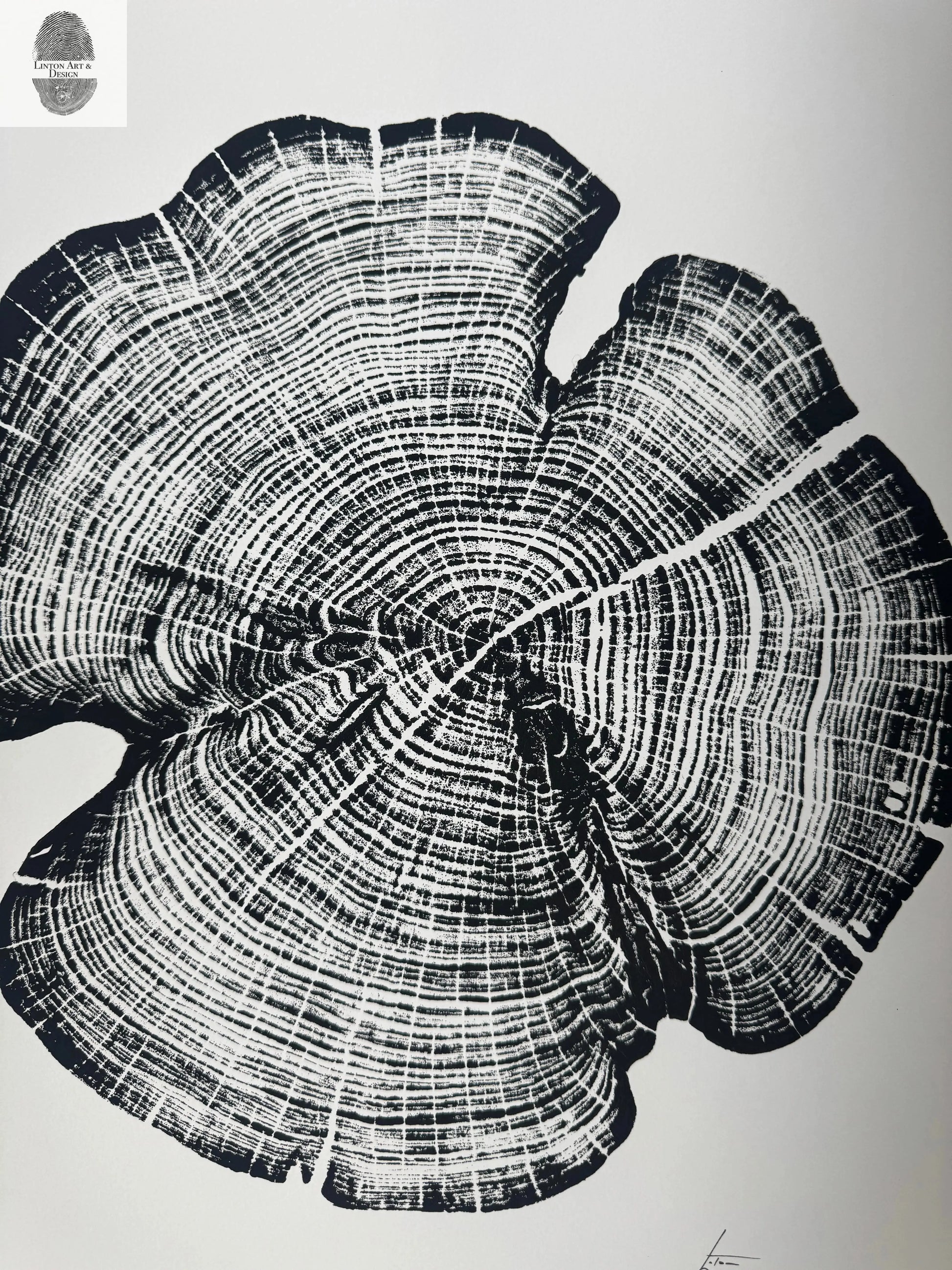 Cedar Tree Ring Print – Reno County, Kansas – 18x24 Original Signed Woodcut lintonart