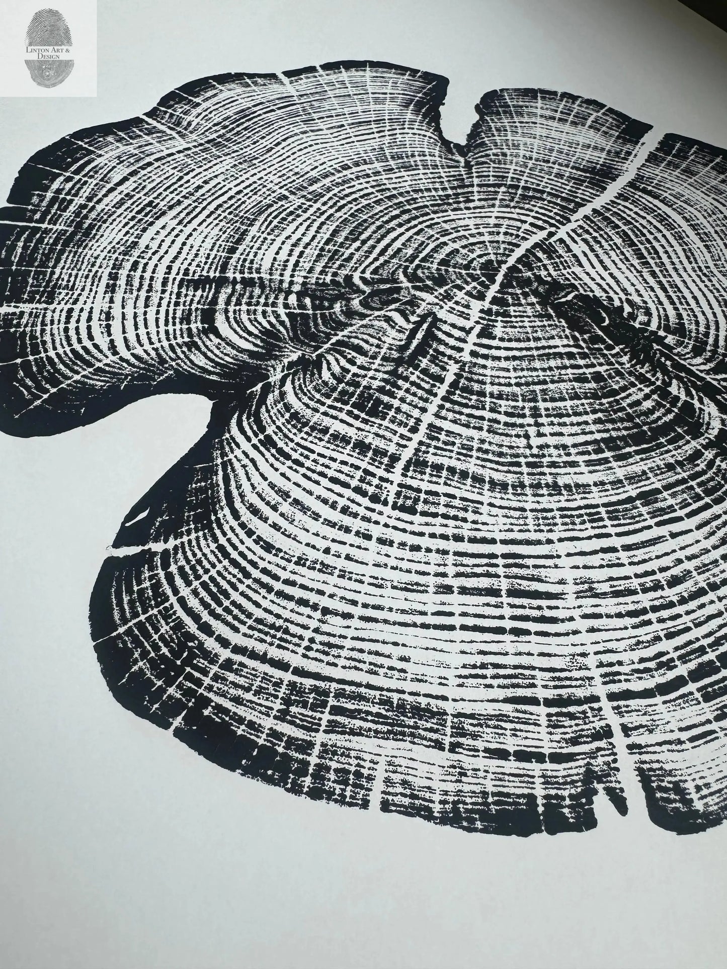 Cedar Tree Ring Print – Reno County, Kansas – 18x24 Original Signed Woodcut lintonart