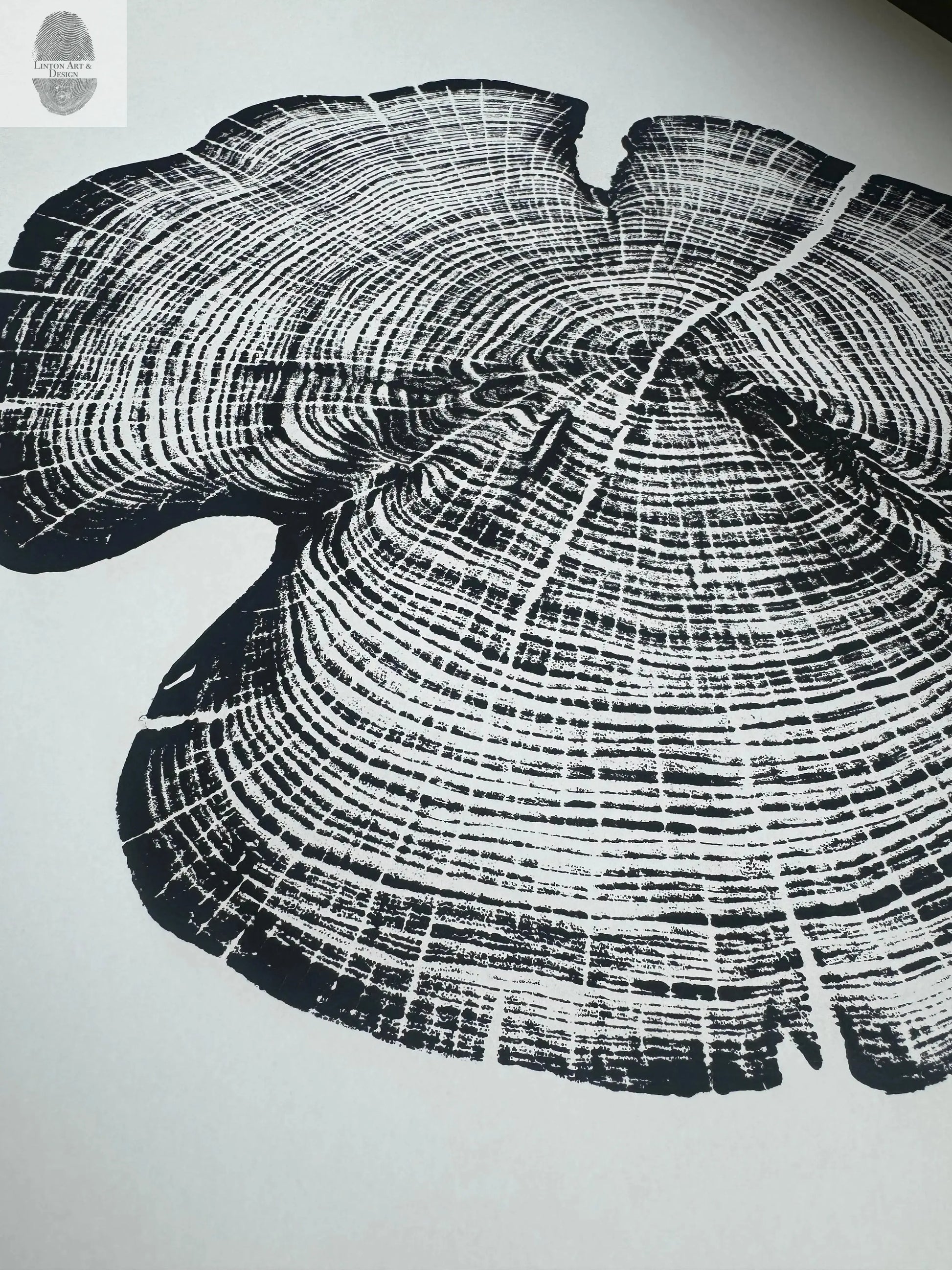Cedar Tree Ring Print – Reno County, Kansas – 18x24 Original Signed Woodcut lintonart