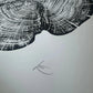Cedar Tree Ring Print – Reno County, Kansas – 18x24 Original Signed Woodcut lintonart