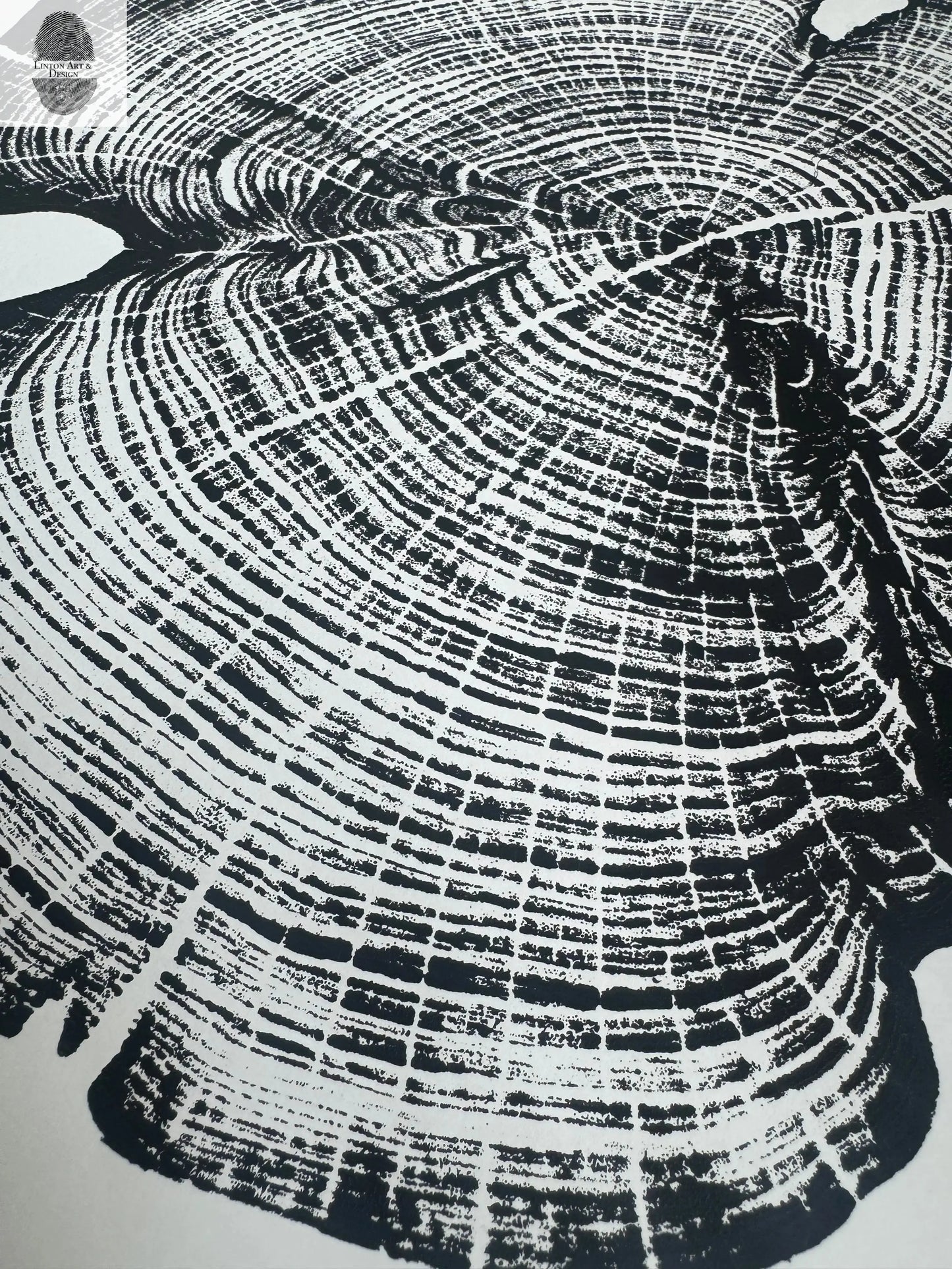 Cedar Tree Ring Print – Reno County, Kansas – 18x24 Original Signed Woodcut lintonart