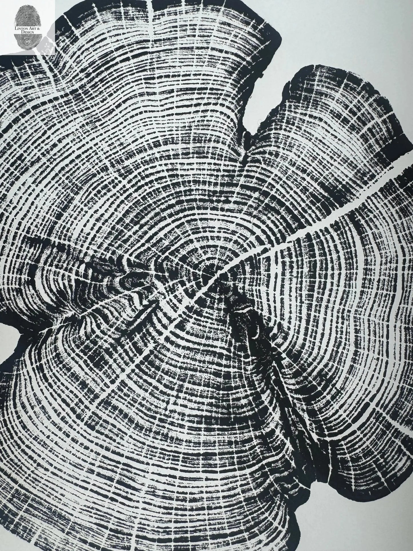 Cedar Tree Ring Print – Reno County, Kansas – 18x24 Original Signed Woodcut lintonart