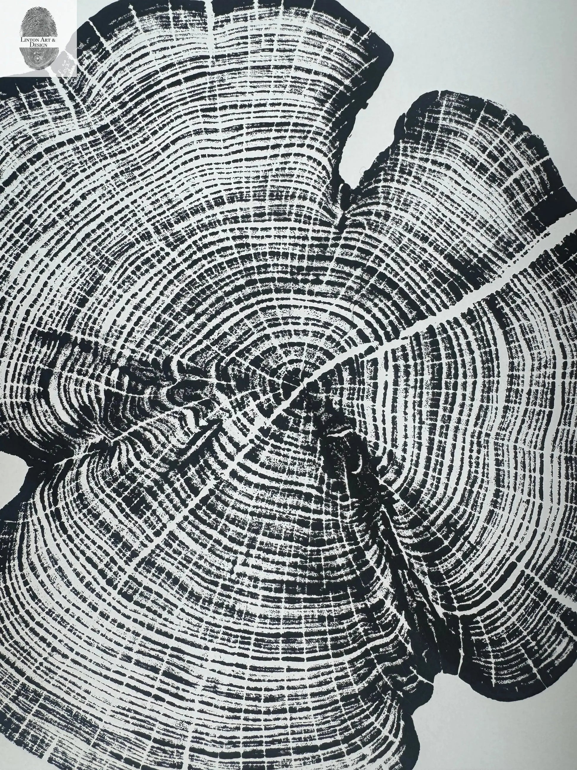 Cedar Tree Ring Print – Reno County, Kansas – 18x24 Original Signed Woodcut lintonart