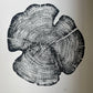 Cedar Tree Ring Print – Reno County, Kansas – 18x24 Original Signed Woodcut lintonart