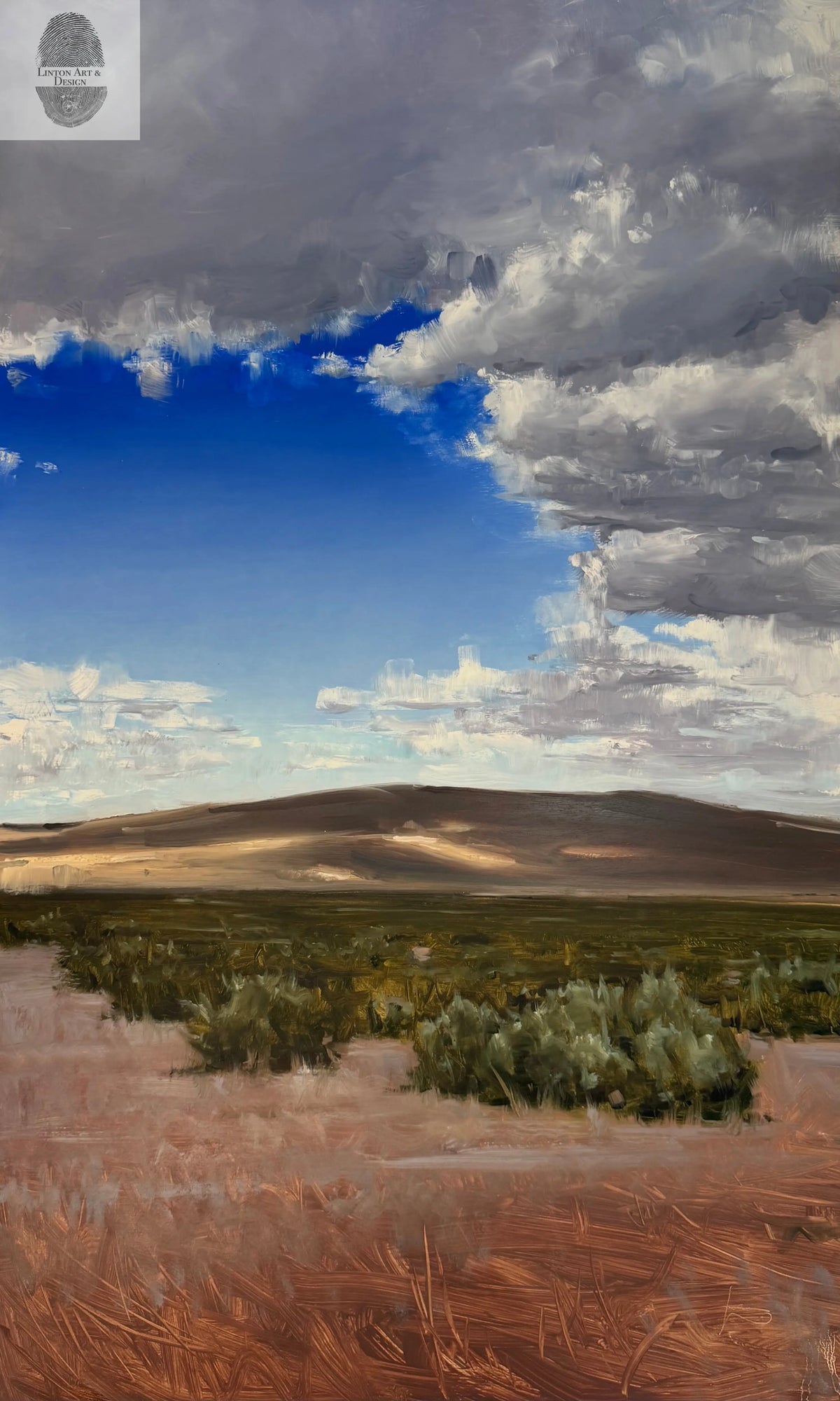 Dappled Light over Hansel Valley lintonart