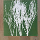 Dried Weeds Hand-Pressed Botanical Monotype on Green - Original MonoPrint 24x23 inches lintonart