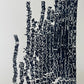 "File Your Complaint Here" Abstract Navy Blue Letter Type, Monotype, 27x26 Inches lintonart