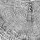Giant Oak from Illinois, Tree ring art, oak tree art, hand pressed woodblock print, Illinois Tree, 42x46 inches lintonart