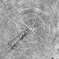 Giant Oak from Illinois, Tree ring art, oak tree art, hand pressed woodblock print, Illinois Tree, 42x46 inches lintonart