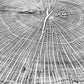 Giant Oak from Illinois, Tree ring art, oak tree art, hand pressed woodblock print, Illinois Tree, 42x46 inches lintonart
