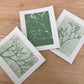 botanical triptych mini 4x5 prints