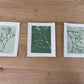 Hand-pressed Monotype Botanical Triptych on Sage Green 4x5in Original Artwork