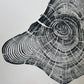Handmade Pine Tree Ring Print – 18x24 Original Signed Woodcut from Sundance Utah lintonart