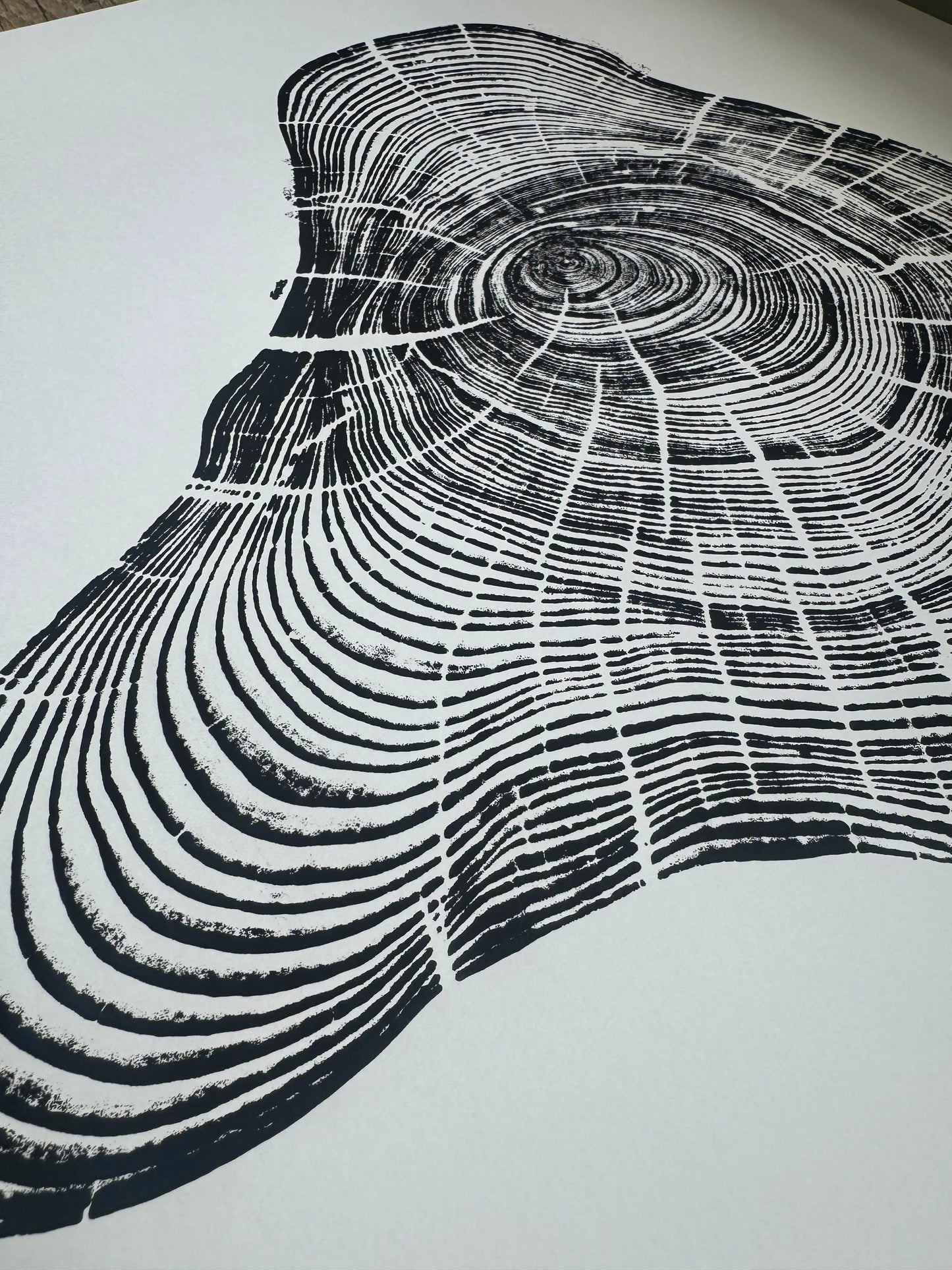 Handmade Pine Tree Ring Print – 18x24 Original Signed Woodcut from Sundance Utah lintonart