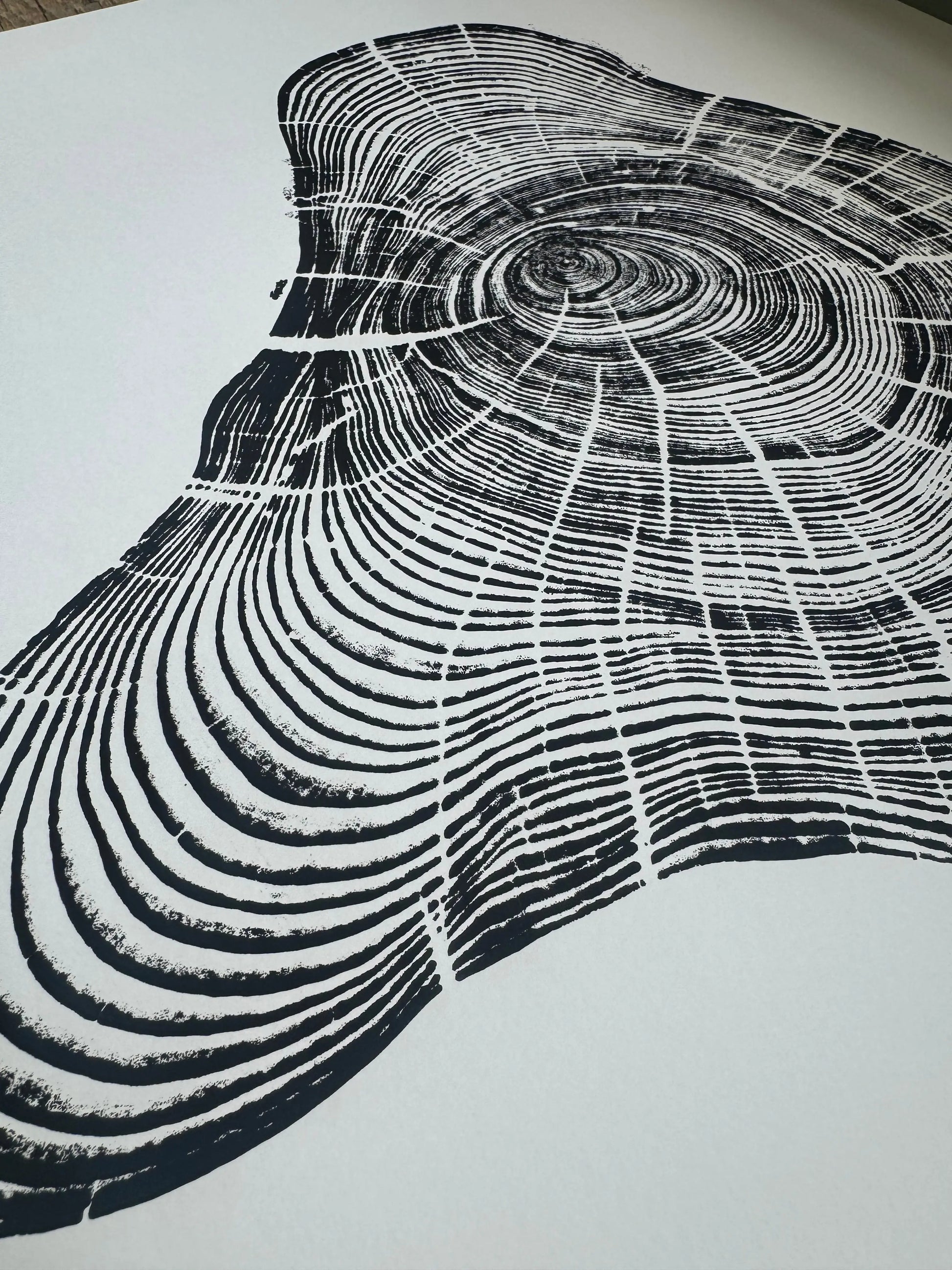 Handmade Pine Tree Ring Print – 18x24 Original Signed Woodcut from Sundance Utah lintonart
