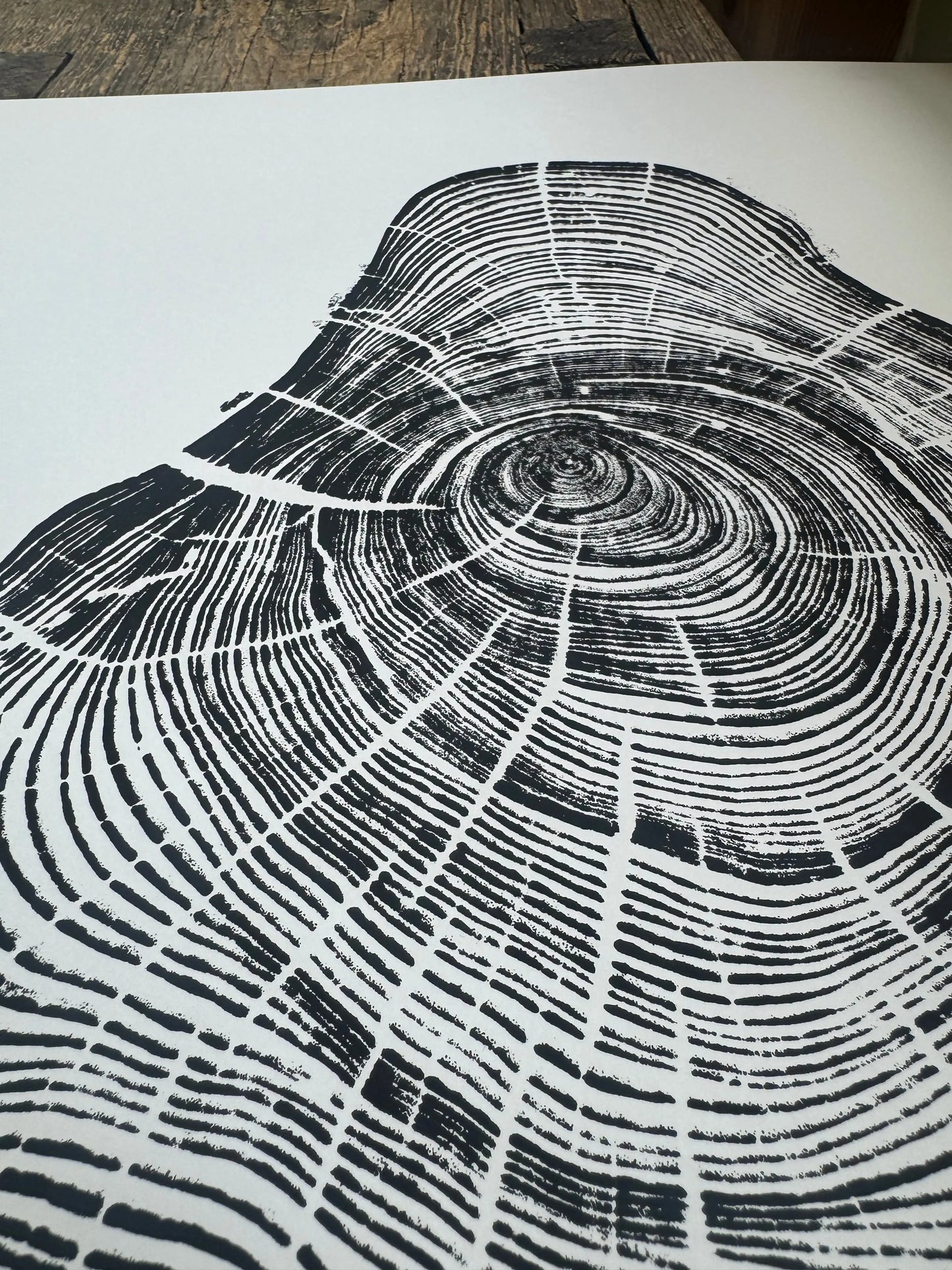 Handmade Pine Tree Ring Print – 18x24 Original Signed Woodcut from Sundance Utah lintonart
