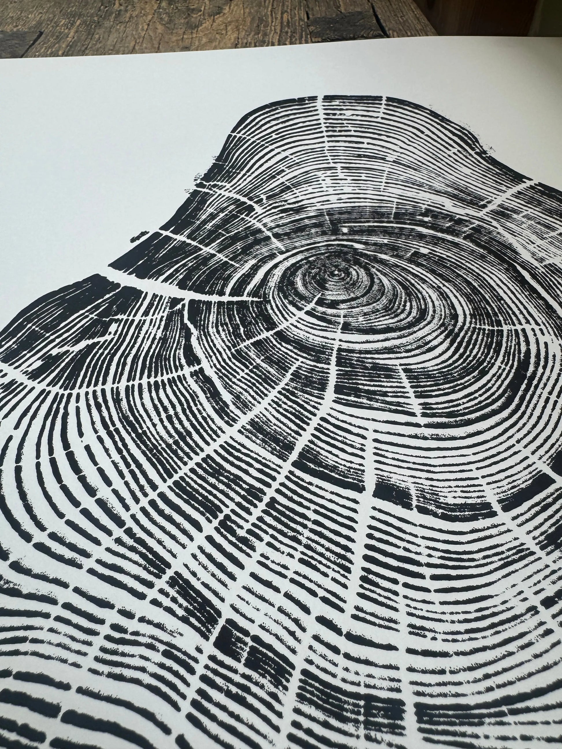 Handmade Pine Tree Ring Print – 18x24 Original Signed Woodcut from Sundance Utah lintonart