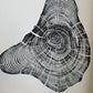 Handmade Pine Tree Ring Print – 18x24 Original Signed Woodcut from Sundance Utah lintonart