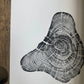 Handmade Pine Tree Ring Print – 18x24 Original Signed Woodcut from Sundance Utah lintonart