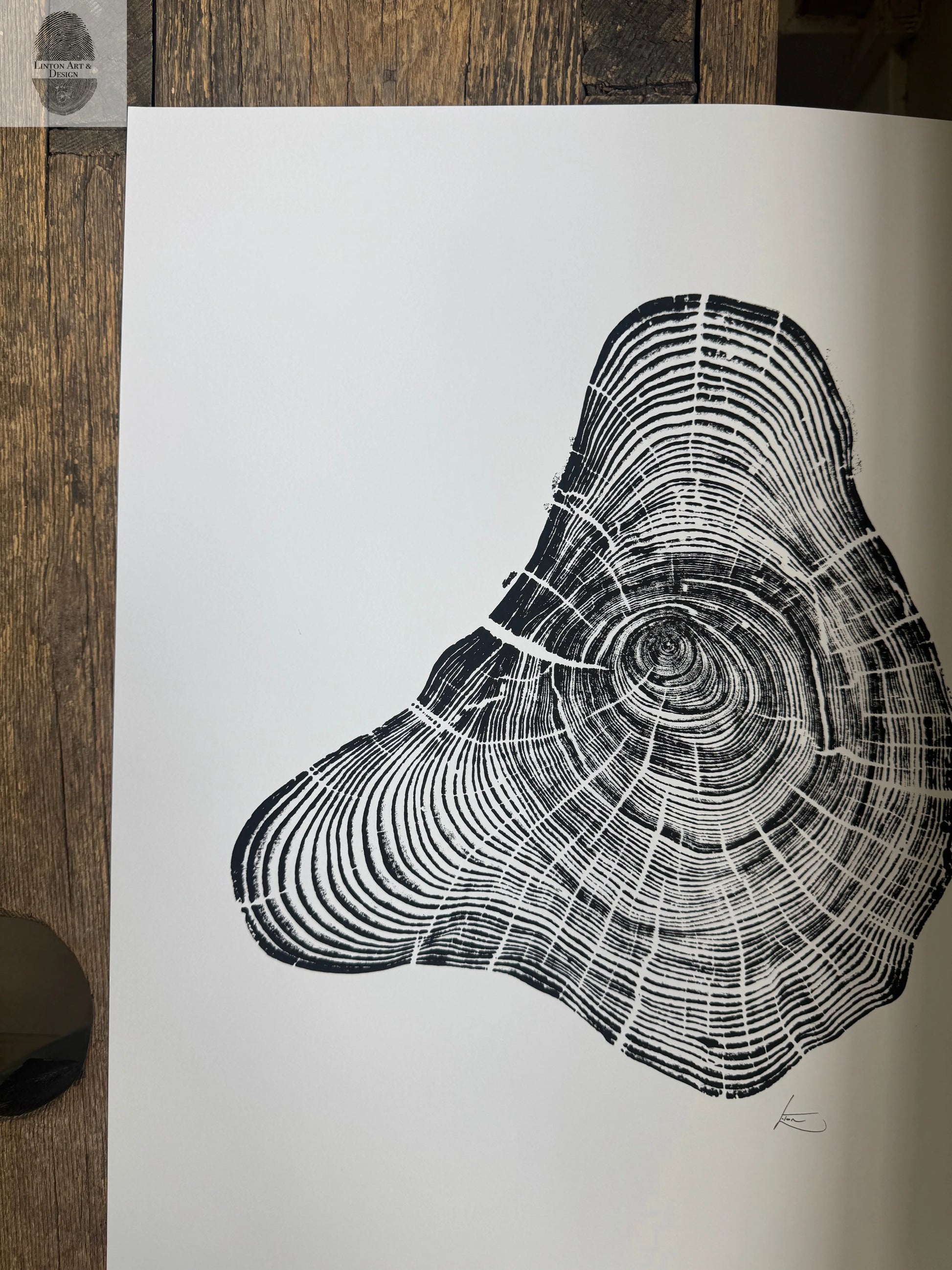 Handmade Pine Tree Ring Print – 18x24 Original Signed Woodcut from Sundance Utah lintonart