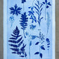 Herbaceous Forms: Field Study in Variation and Pattern, 18x24 inch Original Monoprint lintonart